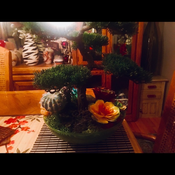 Bonsai Tree arrangement extremely life-like. - Picture 7 of 7